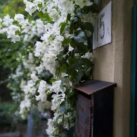 Garden, Vicino Al Gaslini E Boccadasse Apartamento Génova